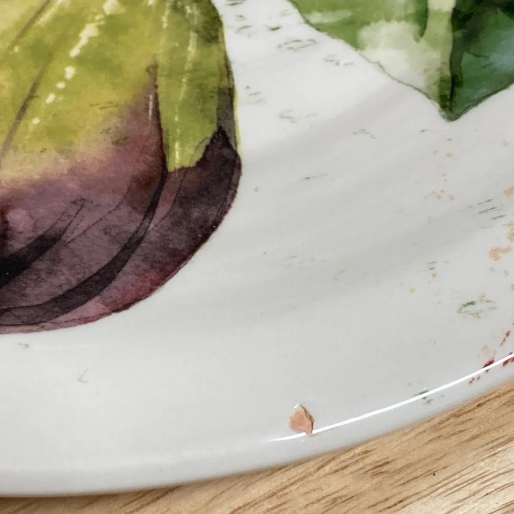 Pier 1 Imports Verona Ironstone Salad Plates Set of 4